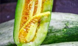 鄂明汗网红吃瓜,揭秘娱乐圈背后的秘密与真相